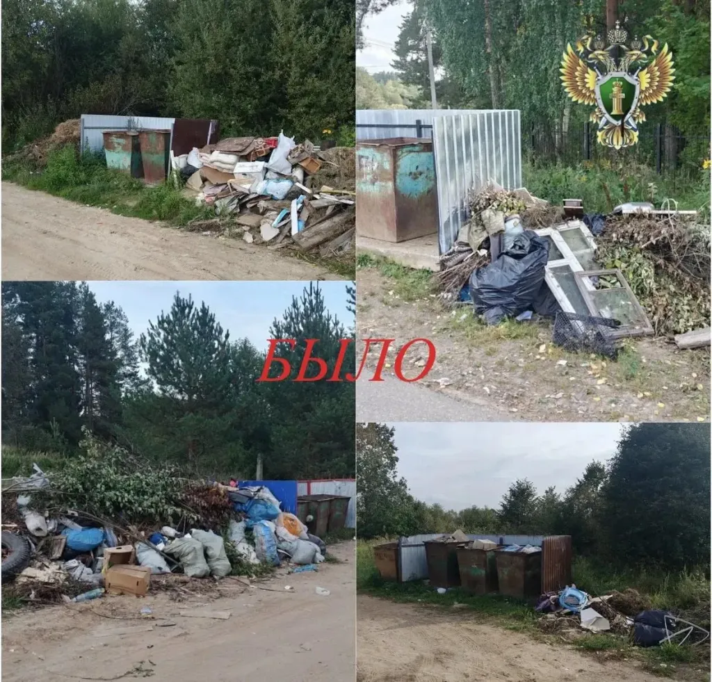 Прокуратура заставила убрать заваленные мусором площадки в Кологриве