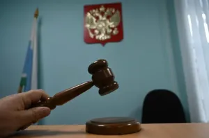 Главу Шарьинского округа наказали за игнорирование жалобы селянина