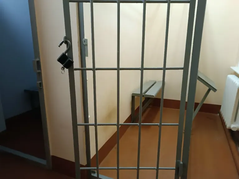 Трое жителей Шарьинского района получили срок за разбой и похищение