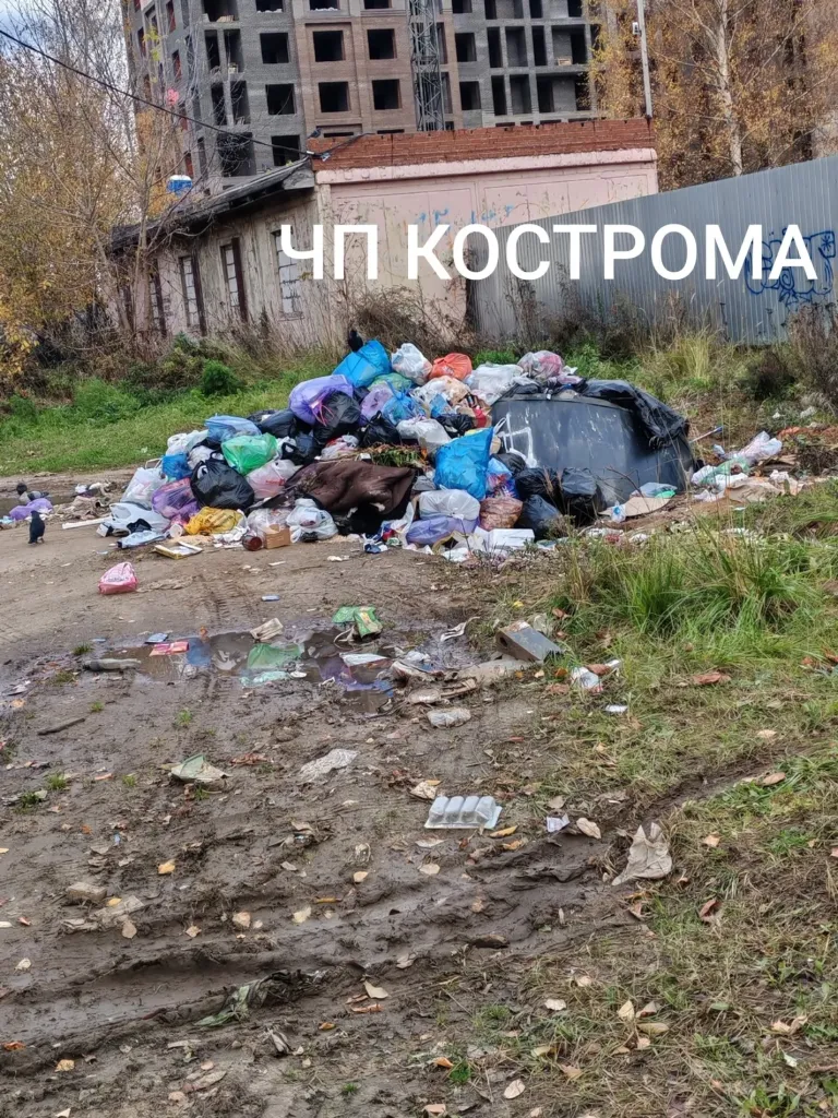 В Костроме власти могут через суд обязать УК убрать свалку на Катинской